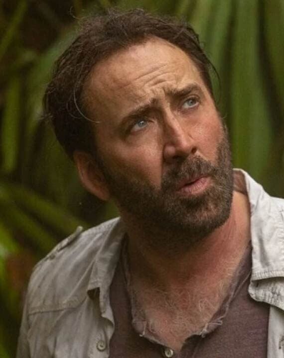 nicolas cage true detective 5