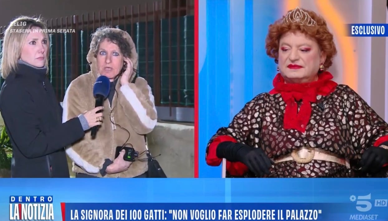 Signora 100 Gatti Coriandoli